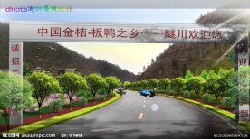 道路绿化效果图