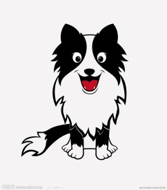 边境牧羊犬