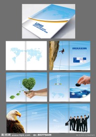 简洁大气 企业宣传画册设计