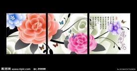 花卉无框画