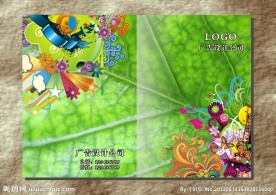 艳丽花朵 绿叶画册封面