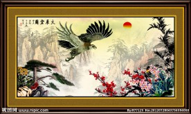 国画鹰