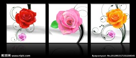玫瑰 花卉 无框画