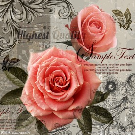 欧式油画 玫瑰花油画