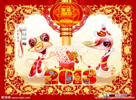 蛇年2013