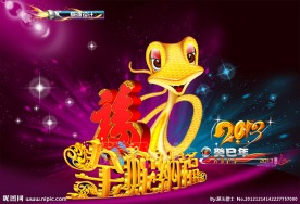 蛇年2013