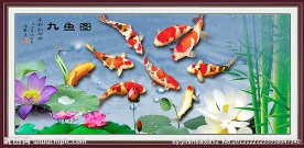 九鱼图
