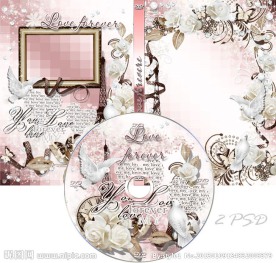 婚庆DVD光盘和光盘盒设计