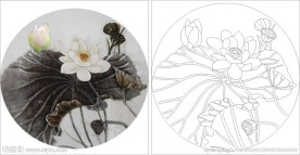 荷花 圆 荷叶 莲花