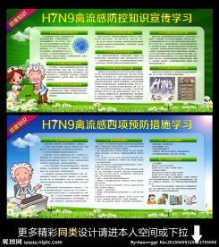 禽流感宣传板报