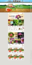 淘宝装修首页(无网页代码)