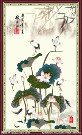 荷花