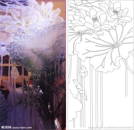 荷花 莲花 荷叶