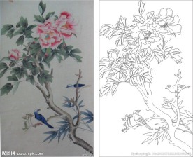 牡丹花 牡丹小鸟