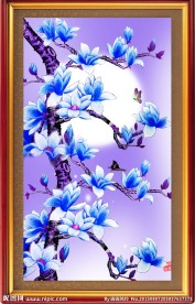 花开富贵