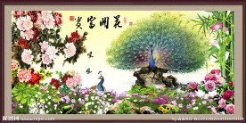 孔雀牡丹图