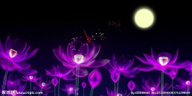 紫色荷花夜色圆月视频