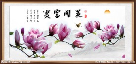 玉兰花 花开富贵