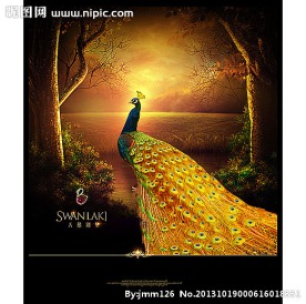 黄金孔雀装饰画