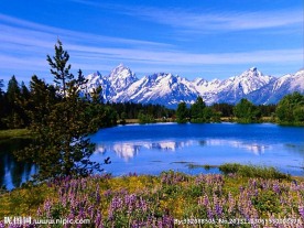 婚礼视频素材下载