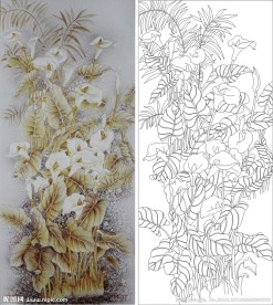 马蹄莲 百合花 百合