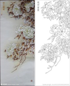 花开富贵 牡丹花