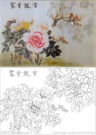 富贵凝香 牡丹花