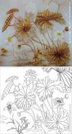 荷花 荷叶 莲花 金