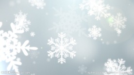 AE 雪花飘落源文件
