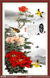 花鸟图