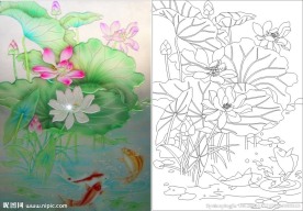 荷花 鱼 荷叶 莲花