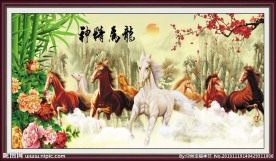 龙马精神