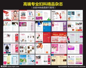 专业妇科医疗杂志
