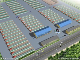 蔬菜大棚效果图