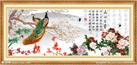 牡丹花