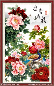 牡丹花