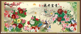牡丹花 花开富贵