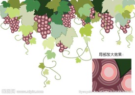 葡萄矢量背景墙