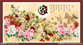 牡丹图