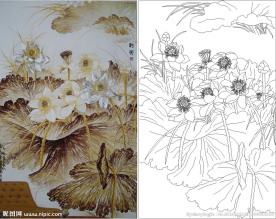 韵荷 荷花 荷叶 莲