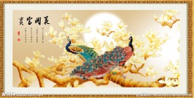 花开富贵 玉兰花