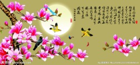 玉兰花