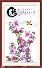 玉兰花
