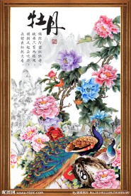 牡丹花