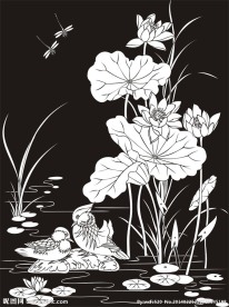 荷花 鸳鸯 蜻蜓