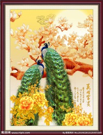 花鸟图