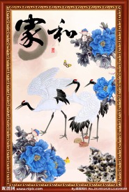 花开富贵 花鸟图