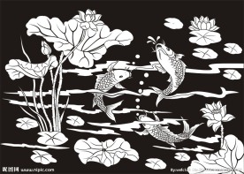 荷花鱼 鲤鱼 莲花鱼