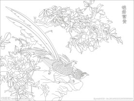 锦绣富贵 锦鸡 牡丹 （注路径未闭合）