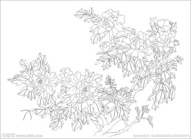 牡丹(未闭合路径)